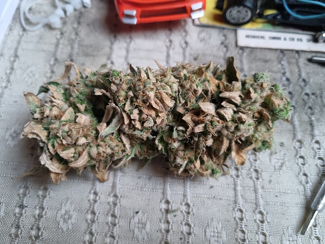 Growreport Bild 22