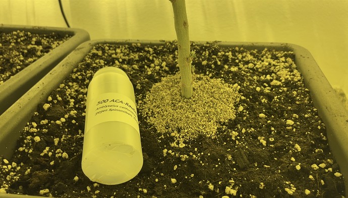 Growreport Bild 3