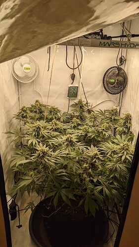 PXL_20220401_042613120