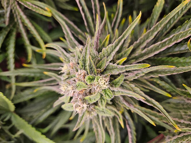Growreport Bild 16