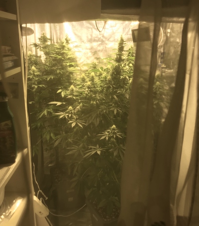 Growreport Bild 4