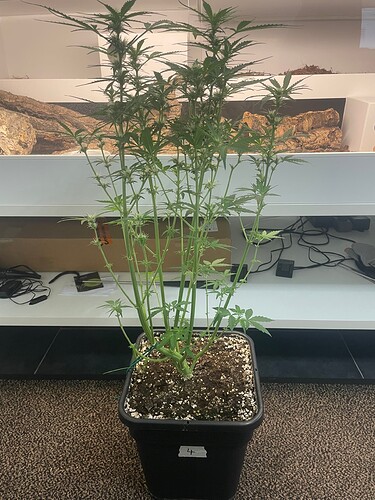 Growreport Bild 17