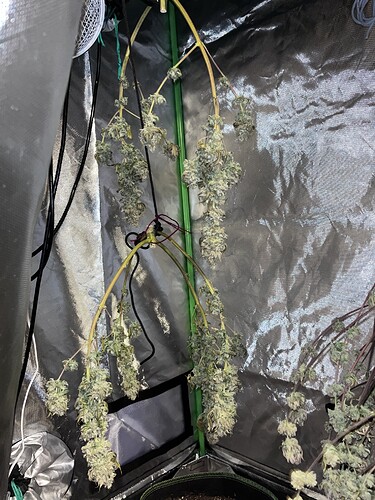 Growreport Bild 5