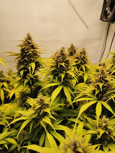 Growreport Bild 18