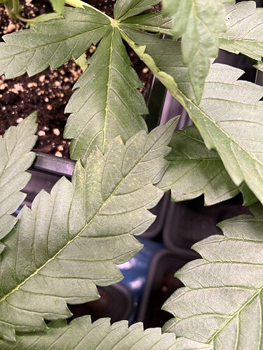Growreport Bild 12