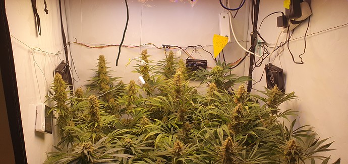 Growreport Bild 2