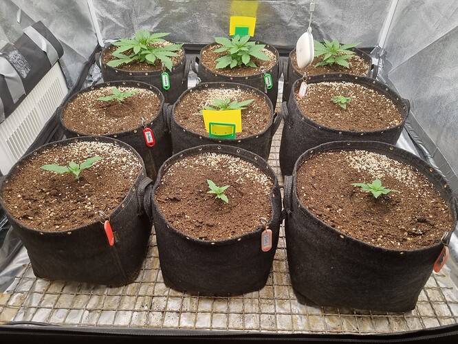 Growreport Bild 10