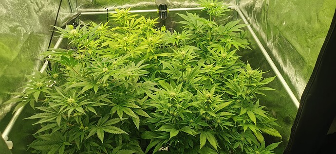 Growreport Bild 6
