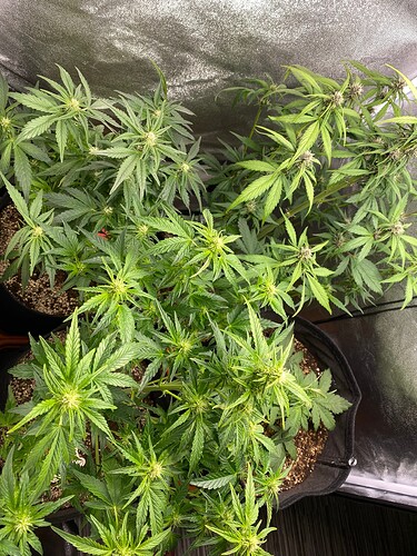 Growreport Bild 12