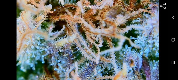 Growreport Bild 11