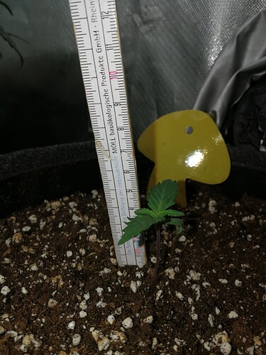 Growreport Bild 100