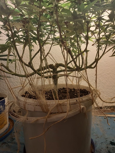 Growreport Bild 5
