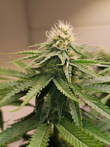 Growreport Bild 18