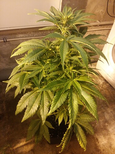 Growreport Bild 4