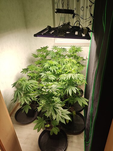 Growreport Bild 24