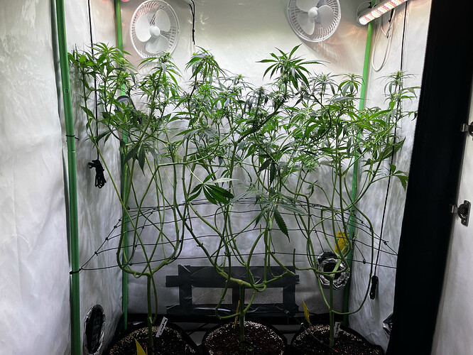 Growreport Bild 8