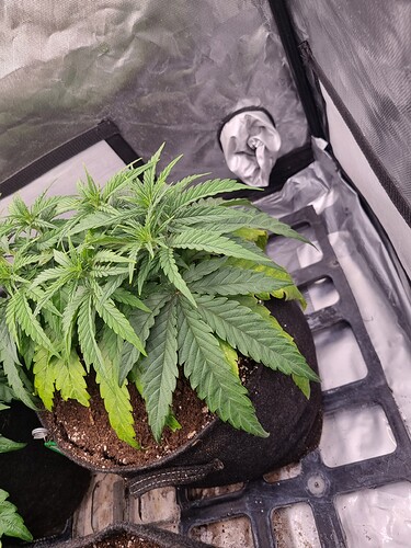 Growreport Bild 20