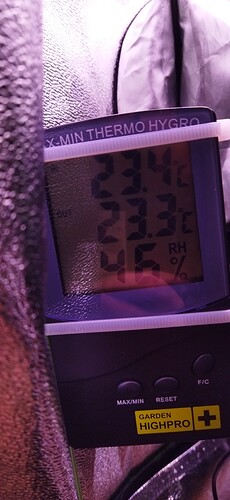 Growreport Bild 62
