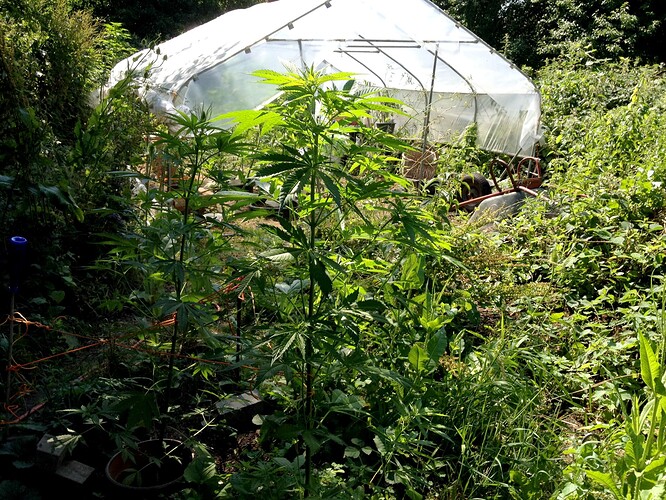 070_SiebterSiebter_16