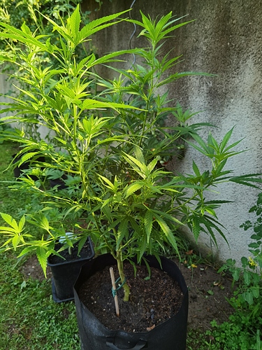 Growreport Bild 15