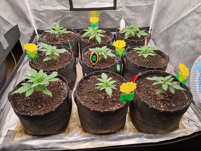 Growreport Bild 22