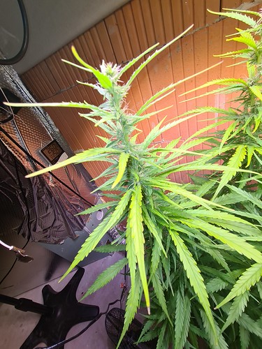 Growreport Bild 12