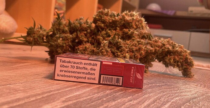 Growreport Bild 4