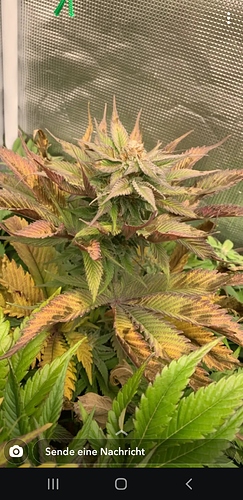 Screenshot_20200607-145709_Snapchat