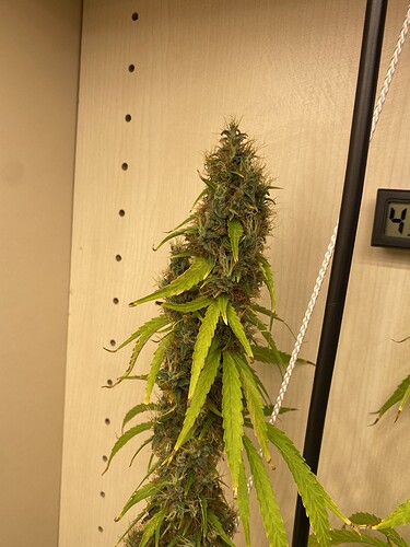 Growreport Bild 9