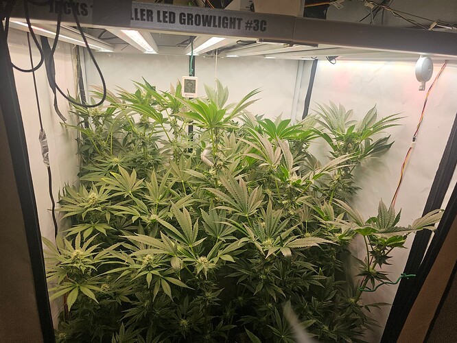 Growreport Bild 2