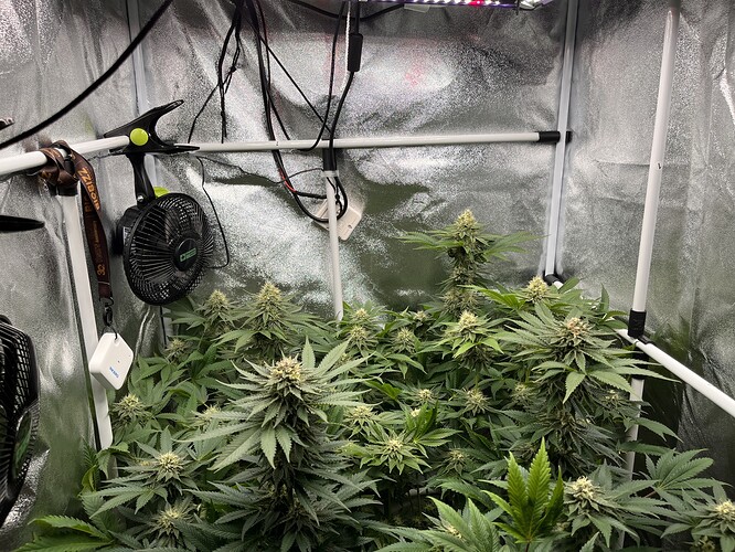 Growreport Bild 2