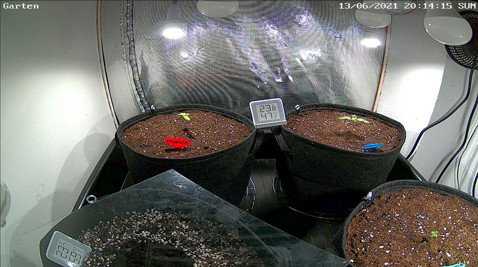 Growreport Bild 12