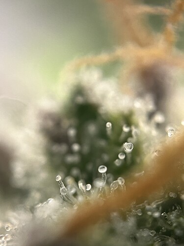 Growreport Bild 18