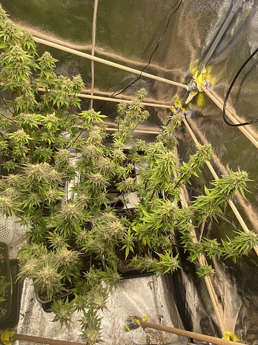 Growreport Bild 8