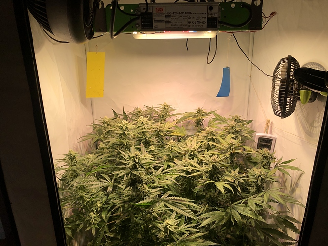 Growreport Bild 3
