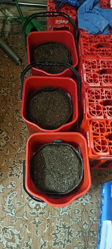 Growreport Bild 23
