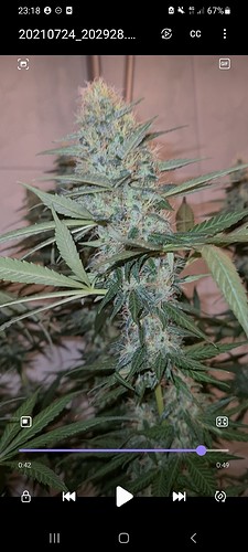 Growreport Bild 2