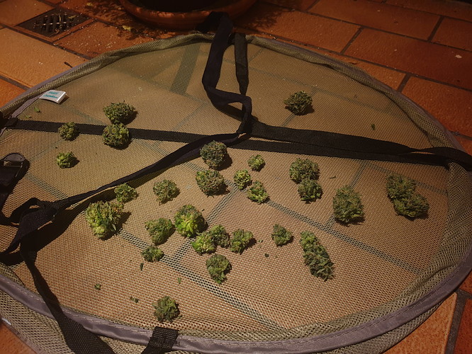 Growreport Bild 5