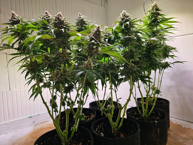 Growreport Bild 11