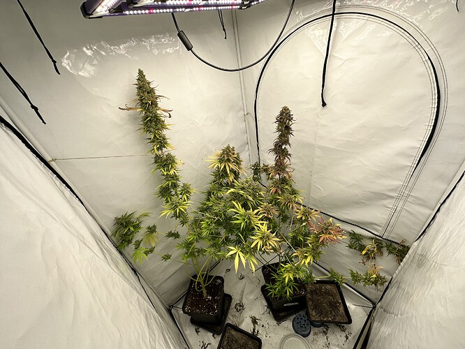 Growreport Bild 27
