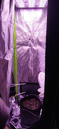 IMG_20230924_213250
