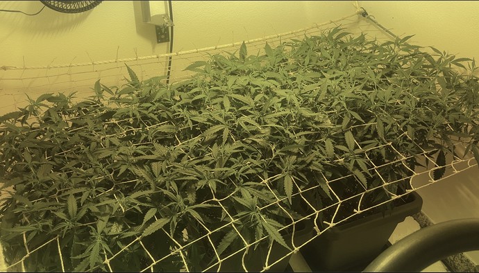 Growreport Bild 10