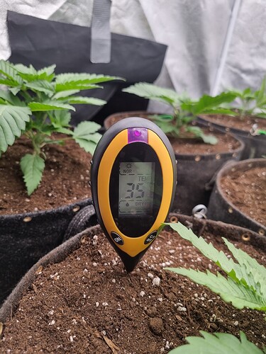 Growreport Bild 31