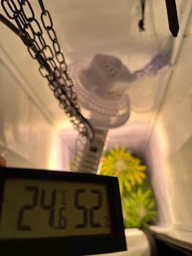 Growreport Bild 43