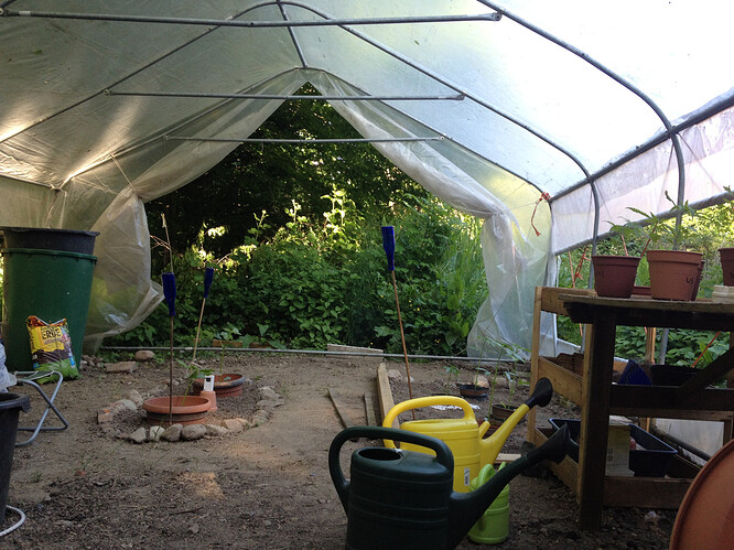 Growreport Bild 6