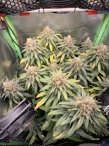 Growreport Bild 14