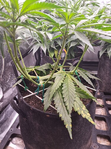 Growreport Bild 13