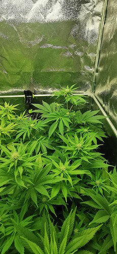 Growreport Bild 10