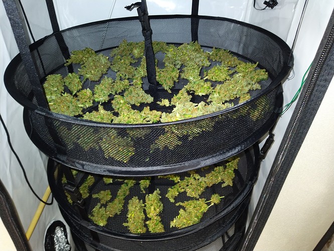 Growreport Bild 3