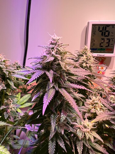 Growreport Bild 11